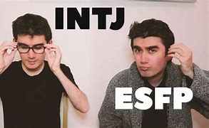 Image result for Intj and Esfp