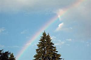 Image result for A Silver Pot of Gold