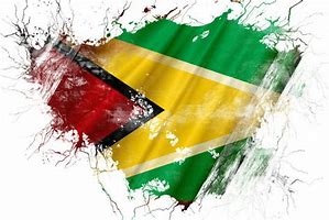 Image result for Guyana Flag Outline