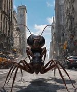 Image result for Big Ant North America Home