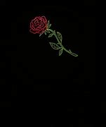 Image result for Black Rose Pic