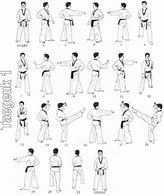 Image result for Taekwondo Moves