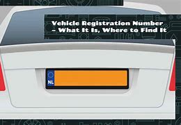 Image result for Registration Decal Number