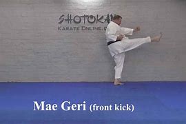 Image result for Front Snap Kick