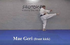 Image result for Front Kick by Mea Geri