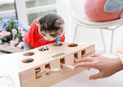 Image result for In the Hoop Cat Toys