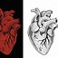 Image result for High Quality Vector Heart