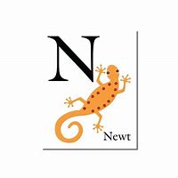 Image result for What's in Newt Letters Capsules