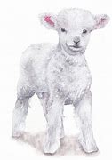 Image result for Baby Lamb Doodle