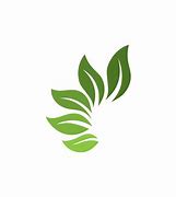 Image result for Leaf Logo HD