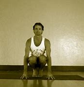 Image result for Parsva Bakasana