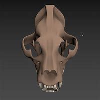 Image result for Tiger Skull 3D Print