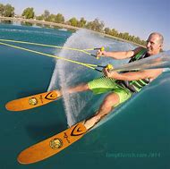 Image result for Water Skiing Gerbils