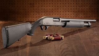 Image result for Best Affordable 12 Gauge Shotgun