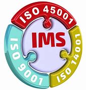 Image result for Integrated Management System Logo