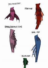 Image result for Mermaid Fin