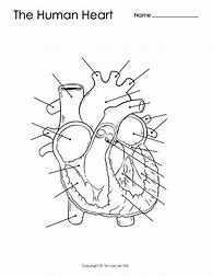 Image result for Blank Heart Diagram Worksheet