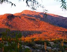 Image result for Rincon Mountains