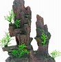 Image result for Tree in Fish Tank