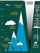 Image result for The Bottom of the Mariana Trench