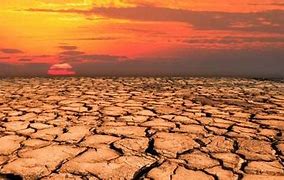 Image result for Dried Desert