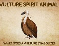 Image result for Vulture Spirit