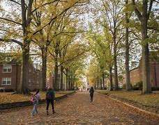 Image result for Ohio University Lincoln Hall Pictures