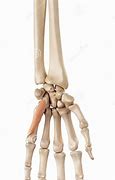 Image result for M Flexor Digiti Minimi Brevis