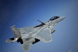 Image result for F-15 Eagle Camo