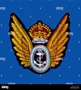 Image result for Fleet Air Arm Badge Engines