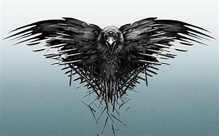 Image result for Raven Grey Eagle