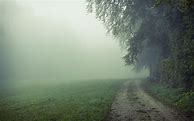 Image result for Foggy Morning Aesthetic