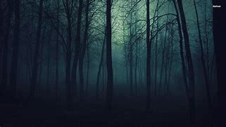 Image result for Dark Forest Background Art