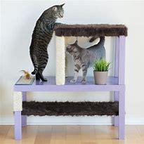 Image result for DIY Cat Furniture