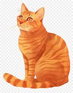 Image result for Orange Tabby Cat Memes