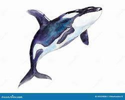 Image result for Orca Art