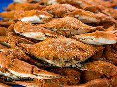 Image result for Maryland Steamed Crabs