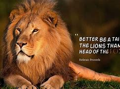 Image result for Motivational Lion Quotes Wallpaper