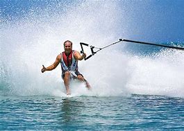 Image result for Water Skiing Gerbils