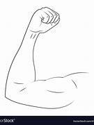 Image result for Drawings of Biceps