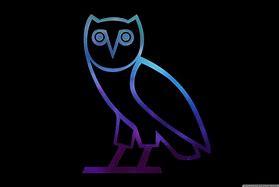 Image result for Drake Owl Logo