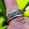 Image result for Turtle Age Ring