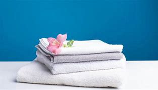 Image result for Free Toilet Paper