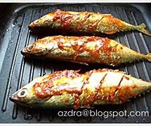 Image result for Ikan Termenung