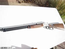 Image result for 17 Mach 2 Rifles