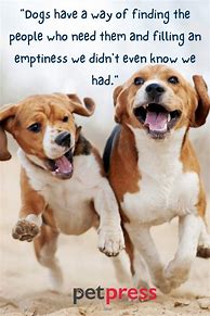 Image result for Funny Dog Quotes to Live By