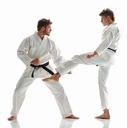 Image result for Karate Groin Kick