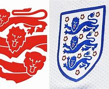 Image result for 3 Lions Badge