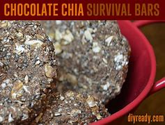 Image result for Survival Food DYI