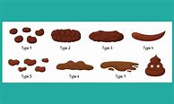 Image result for Know Your Poop Chart